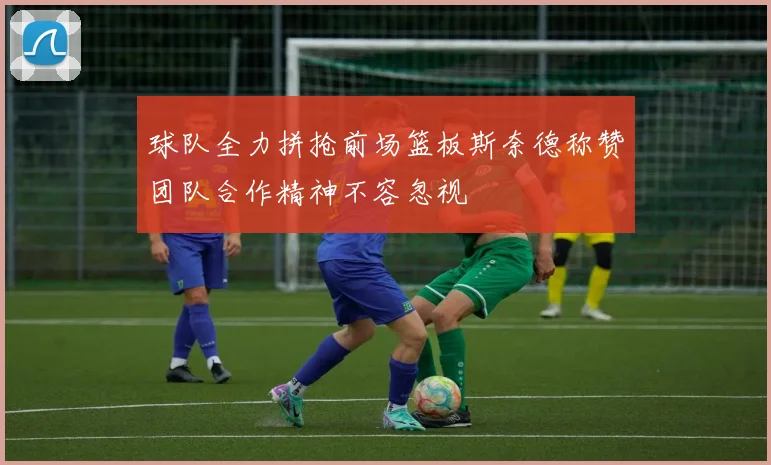 球队全力拼抢前场篮板斯奈德称赞团队合作精神不容忽视